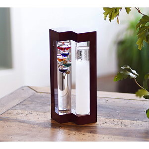 xv&Xg[OX i333-273j ؐgtyxv ptBIC  CeA KI  j ԂMtg Cj Vzj j LOi Mtg v[g