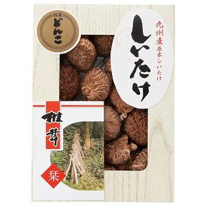 ��B�Y���� �ǂ񂱒ő��iKT-20�j�y��B�Y���؂ǂ񂱒ő� ��B ���� �ǂ� �ő� ���� ���Y �������� �㎿ ���j�� ���Ԃ� ���j�� �̂� � ������ ���� �H�� �w���V�[ �M�t�g�Z�b�g �`�� �V�� 