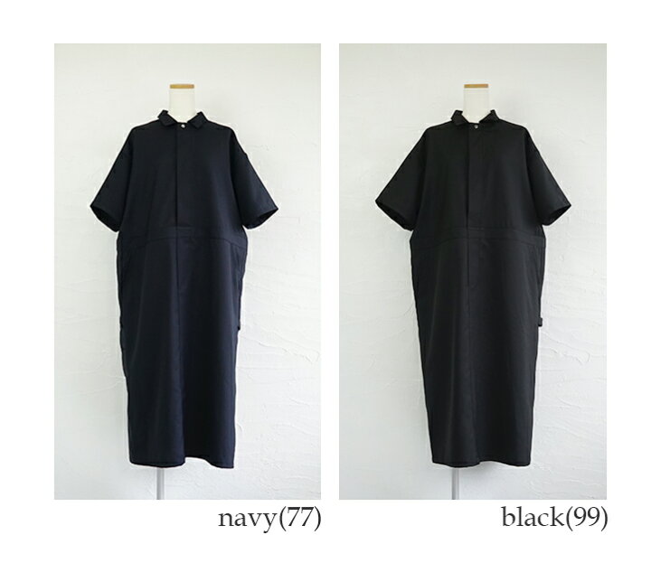 楽天市場】【送料無料】mizuiro ind（ミズイロインド）ペインター  