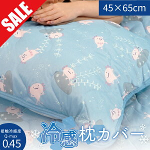 ySALE 20OFFzĂ̐ɁЂ薍Jo[ 45×65cm tYq pbh s[P[X ėp ⊴ N[Q 43×63cm肿Ƒ傫 v[g LN^[  [
