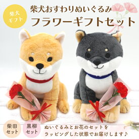 【当店限定】柴犬たちのぬいぐるみとお花のギフトセット ＜フレンズヒル公式＞ インテリア プレゼント 贈り物 柴田さん しばたさん 黒柳さん 黒柴 お座りポーズ カーネーション かわいい おしゃれ 癒し 人気 キャラクターグッズ 誕生日 記念日 送別品