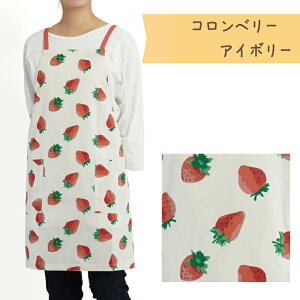 yzMtgɂlCȉԕx[̃Gv tYq 75cm O| G V[g Z Rbg100 |Pbgt Lb`ObY NXR v[g ԈȊO 䕕 ʕ