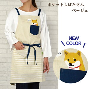 yXz|PbgЂLN^[Gv tYq 72cm v[g Č ēc ΂ L ^[` L lR}WE JWA {[_[