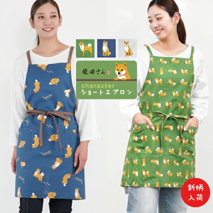 yzČ̎ēc GvtYq peapod 75cm |Pbg  ObY G OC O[  lCr[ F SHIBA Ό ΂  D Lb` JWA 