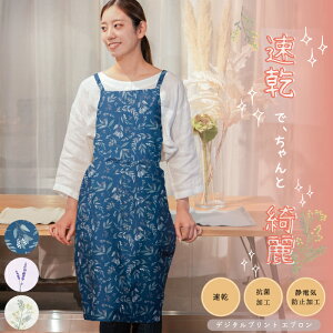 yztoridori fW^vg OGvtYq 90cm 䒷 y  RۉH ÓdCh~H  IV  ԕ {^jJ l fB[X K[fjO