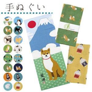 yz{ LN^[ ʂtYq a Č  { LN^[ ObY G OєL O o L lR ˂ ΂ ēc Ȃ 