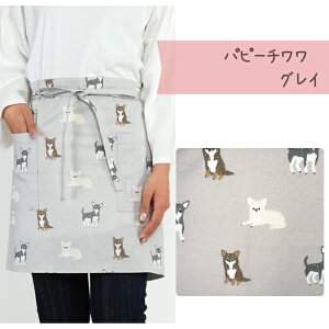 yzL̂킢fUCM\Gv tYq Gv ^Cv O| V[g Z G 45cm |Pbgt T JtF v[g  g