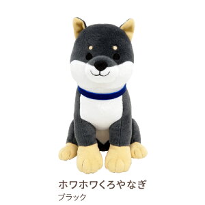 yzҋ@IČ̂ʂ tYq CeA  u  Mtg v[g  Ȃ  ēc ΂ Č Ck  