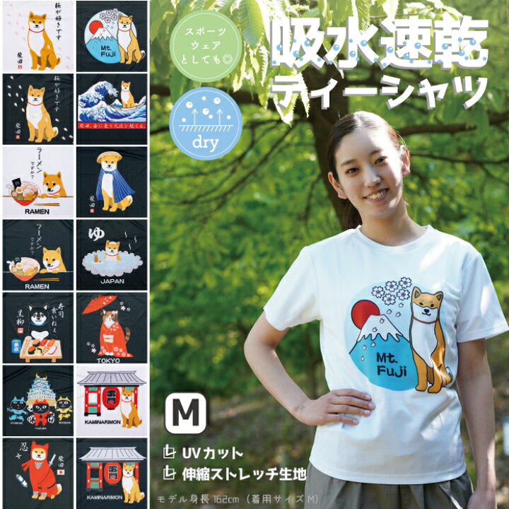 楽天市場 公式 吸水速乾tシャツmサイズ フレンズヒル 柴田さん 柴犬 ネコマン ネコマンジュウ 三宅さん みやけさん 白ネコ 白 プリント スポーツウェア ルームウェア ゆったり レディース メンズ 父の日 ギフト 男女兼用 M L ストレッチ ドライtシャツ 敬老の日