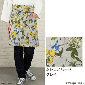 yzi`ȕ̃M\Gv tYqxKbg  O| V[g Z |Pbg Lb` JtF T v[g  l킢 ԕ ~