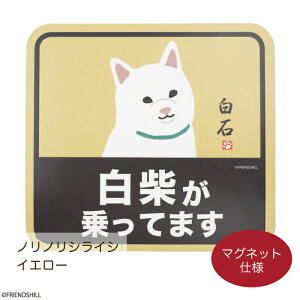 yXzČ̃J[TC}OlbgXebJ[ tYq  V[ ԗp ӊN S^] Ă܂ hCuR[_[ v[g LN^[ 