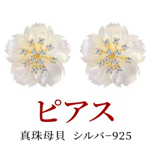 ysale   w Ǝ ԌzsAX ^ Wp[ LTCY:38×13mmd2.8g AM[Ή silver9256̒a΃fB[XWG[ ANZT[ v[g