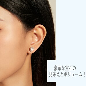 sAX lbNX 1ct ꗱATiCg AbTiCg Vo[ _Ch2.5{̋PAM[Ή silver925fB[XWG[ ANZT[ v[g킢 ItBX 