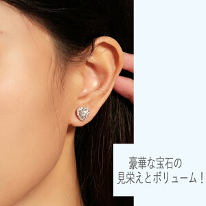 sAX lbNX 0.5ct ꗱATiCg AbTiCg Vo[ _Ch2.5{̋PAM[Ή silver925fB[XWG[ ANZT[ v[g킢 ItBX 