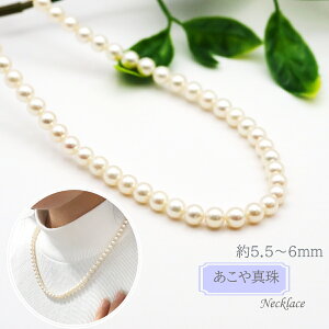 ^ lbNX  ^ p[ ANZT[ WG[ v[g 蕨 J NX}X zCgf[ ̓  hV̓ Mtg  Ǝ w p[eB[ C