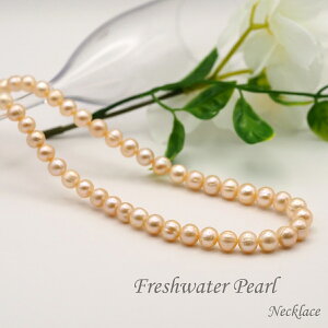 42cm Wp[ lbNX ^ p[ W IW  Vo[ ANZT[ WG[ v[g 蕨 J NX}X zCgf[ ̓  hV̓ Mtg  