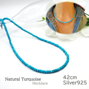 VR ^[RCY vZX lbNX 42cm Vo[ Vo[925  u[ F ANZT[ fB[X  ̓ v[g p[eB[  񎟉 w   Ǝ 