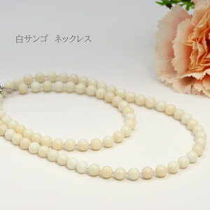 62cm TS X lbNX TS zCg  Vo[ ANZT[ WG[ v[g 蕨 J NX}X zCgf[ ̓  hV̓ Mtg LO LO