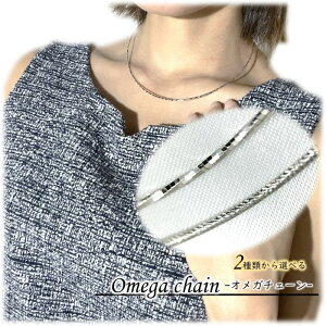 IׂIK`F[ SVWEbL `F[ IK`F[ Vo[ WEbL lbNX`F[ 41cm 45cm qL WG[ ANZT[ i