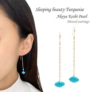 K18 X[sOr[eB[^[RCY gR ^ PVp[ 18 sAX ^[RCY ^ p[  u[ S[h ANZT[ WG[ v[gNX}X zCg