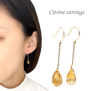 Vg sAX K18 18 IW S[h CG[ h  ANZT[ WG[ v[g 蕨 J NX}X zCgf[ ̓  hV̓ Mtg  Ǝ 