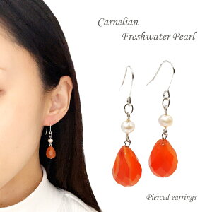 J[lA sAX  mE  IW F Wp[ p[ ANZT[ WG[ v[g 蕨 J NX}X zCgf[ ̓  hV̓ Mtg  