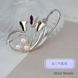 AR^ u[`3 ^ p[ AR  u[` Vo[ ^ 6mm WG[ ANZT[   w Ǝ v[g 蕨 LO ̓  y