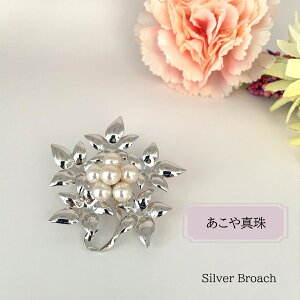 ^ u[`  ^ p[  Vo[ ANZT[ WG[   w Ǝ v[g 蕨  tH[} JWA j ̓ LO  y
