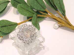 y[֑zXtXL[ u[` nCrXJX 2.5×2.5cm J[ Vo[ S[h ubN ANZT[ fB[X   ̓ v[g p[eB[  񎟉 w