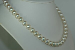 ^ lbNX 8.5mm 43.5cm ANZT[ fB[X N[zCg  p[ tH[} ̓ v[g p[eB[ 񎟉 w Ǝ Ă΂ v[g j LO