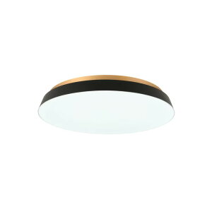 �X�����d�@�t���b�g�V�[�����O���C�g - SWAN Flat Ceiling Light