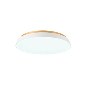 �X�����d�@�t���b�g�V�[�����O���C�g - SWAN Flat Ceiling Light