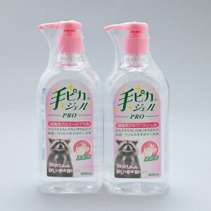PG[@sJWFPRO 500ml x 2 - Kenei Sanitizer Gel 500ml x 2