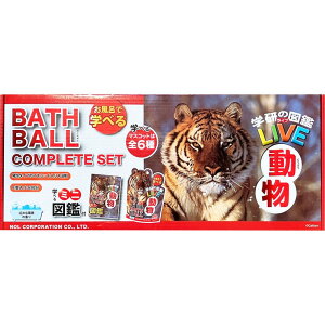 �y1��100���|�C���g�o�b�N�I ���v�G���g���[�z�o�X�{�[�� 6�Z�b�g �w���}��LIVE - Kids Bath Ball 6PC Gakken