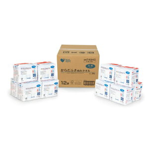 からだふき(大判)30枚 X 12袋 BOX - DISPOSABLE BODY WIPE 30CT X 12PC BOX