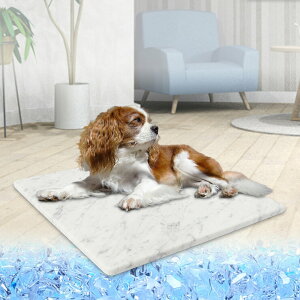 �����嗝�� �r�A���R�J���� �Ђ��� �y�b�g�{�[�h �C�^���A�Y - Luxury Marble (Bianco Carrara) Pet Board Made in Italy