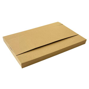 [֗pP[X A4TCY 30 - Mail-Bin A4 Size 30pc