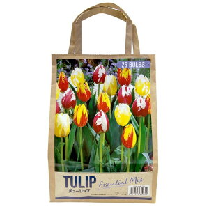 `[bv~bNX 25 GKg~bNX - Tulip Bulb Mix 25 bulbs Elegant Mix