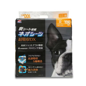 lIV[cJ[{DXM[ 100 - NEO Sheet DX Regular 100sheets