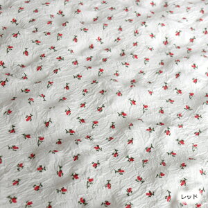 y[z؍n ؍n̂X ؍z z ؍ Rbg bV[H bV[ n ؍̕z ԕz ԕzn ԕ nԕ t[vg i` IVȐn 