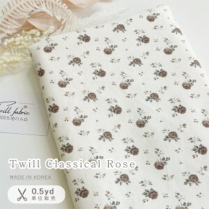 y[z؍n ؍n̂X ؍z z ؍ n KN̐n o̐n KNn no KN o NVJ Rbg  nhCh Ȑn IV