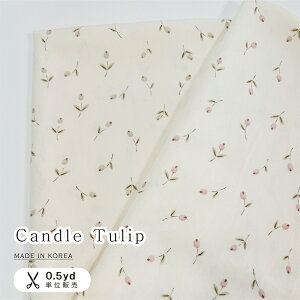 y[z؍n ؍n̂X ؍z z ؍ n `[bv ԕ  nhCh Ȑn IVȐn 킢nyLh`[bvz