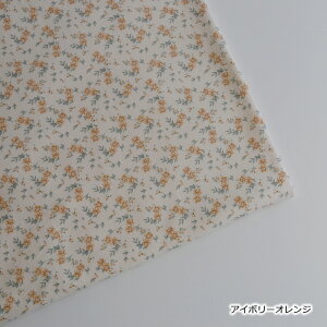 y[z؍n ؍n̂X ؍ n zn ؍z z jbg ؍̕z jbgz Ԃ琶n ԕ̕z ԕ̐n ԕjbgn ԕ t[vg i` IV Rbg