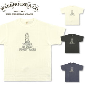 WAREHOUSE (ウエアハウス) 花井祐介コラボ Lot. 4601 THINGS AS THEY OUGHT TO BE 半袖Tシャツ (ノンウォッシュ 半袖 Tシャツ 日本製 プリント おしゃれ ストリート アメカジ メンズ ビリケン)
