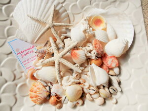 VRf Ai qgf z^e TS FXȊLkZbg 350gpbN nCCeA@Hޗ