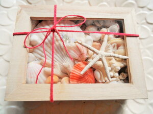 VRf VF{bNX X^[tBbV LkZbg Ntg Hޗ nCCeA }G