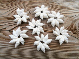 楽天市場 シェル フラワー パーツの通販