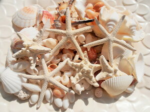 VRf nCACeA LkZbg eʃpbN uC_fBXvC HNtgޗ