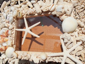 天然素材 ハンドメイド シェルボックス スターフィッシュ 貝殻セット クラフト 工作材料 ハワイインテリア マリン雑貨