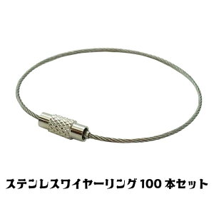 Freell t[ XeX C[O 100{Zbg lW vłтɂXeX C[ O Œ胊O ݂艺 [v XN[ lWǂ L[O ZLeB
